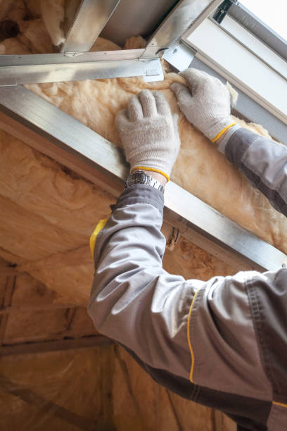 Best Insulation Contractors for Homes  in Dry Ridge, OH